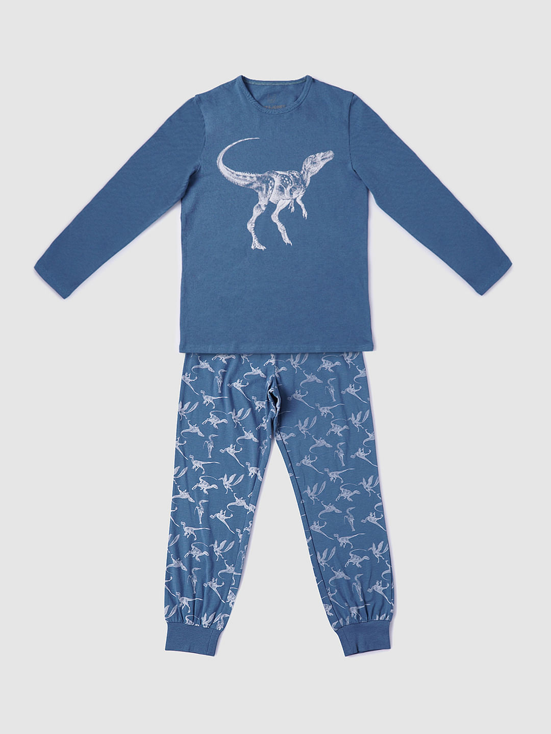Buy Blue Printed T-shirt & Pyjama Night Suit Set for Boys Online 